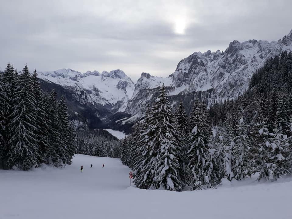 Dachstein View Ski Apartment Gosau Exterior photo